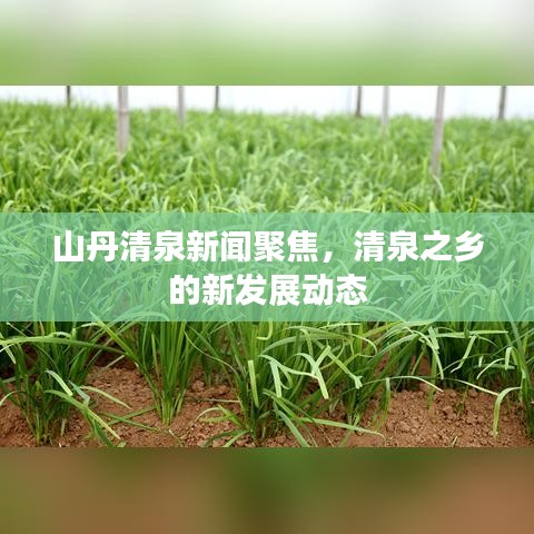 山丹清泉新闻聚焦，清泉之乡的新发展动态