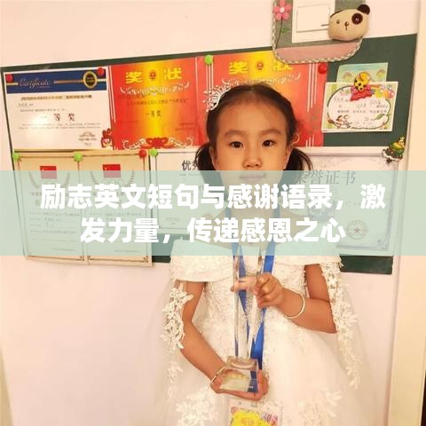 励志英文短句与感谢语录，激发力量，传递感恩之心