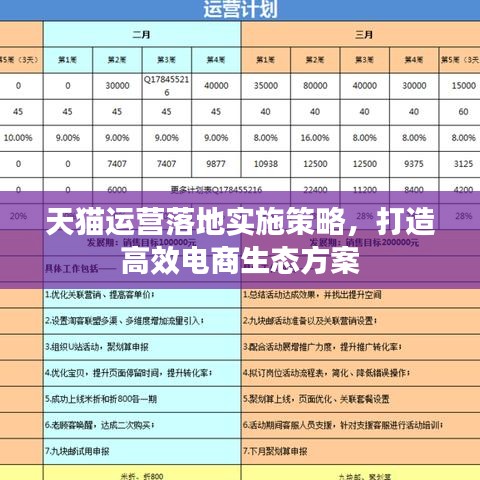 天猫运营落地实施策略，打造高效电商生态方案