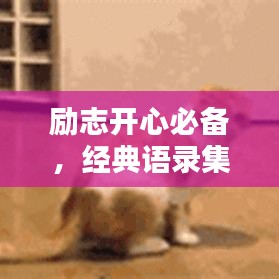 励志开心必备，经典语录集锦