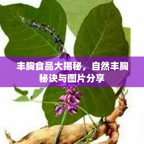 丰胸食品大揭秘，自然丰胸秘诀与图片分享
