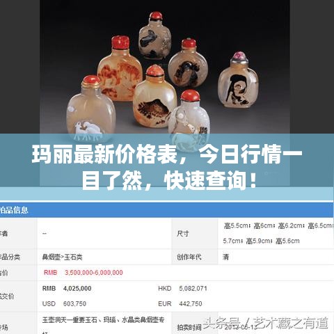 玛丽最新价格表，今日行情一目了然，快速查询！