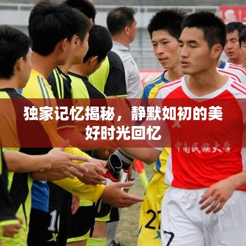 独家记忆揭秘，静默如初的美好时光回忆