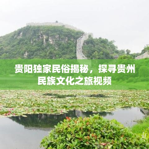 贵阳独家民俗揭秘，探寻贵州民族文化之旅视频