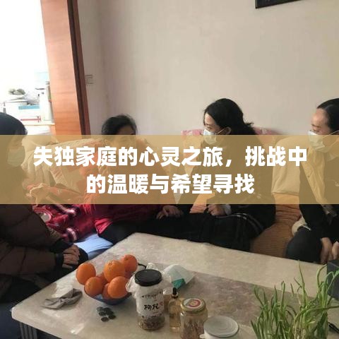 失独家庭的心灵之旅，挑战中的温暖与希望寻找