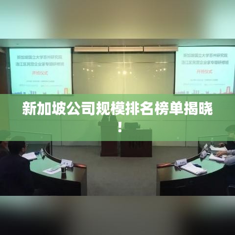 新加坡公司规模排名榜单揭晓！