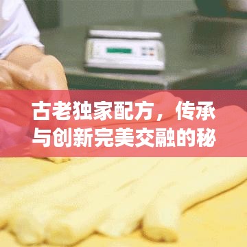 古老独家配方，传承与创新完美交融的秘笈