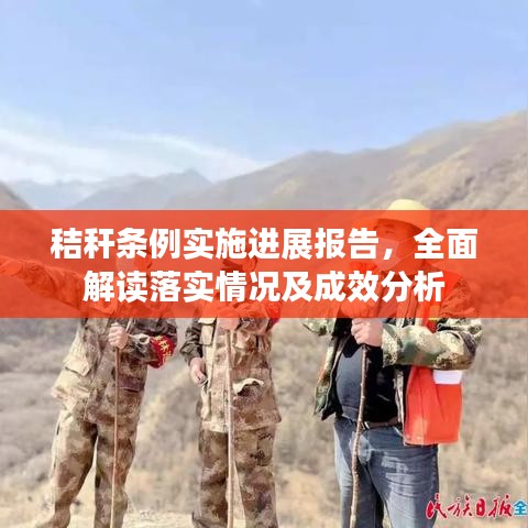 秸秆条例实施进展报告，全面解读落实情况及成效分析