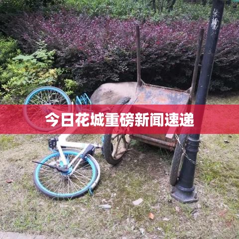 今日花城重磅新闻速递
