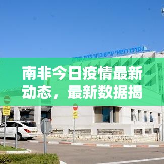 贵险贱璧
