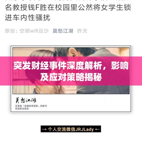 突发财经事件深度解析，影响及应对策略揭秘