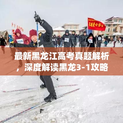 最新黑龙江高考真题解析，深度解读黑龙3-1攻略