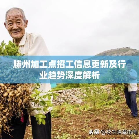 滕州加工点招工信息更新及行业趋势深度解析