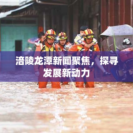 涪陵龙潭新闻聚焦，探寻发展新动力