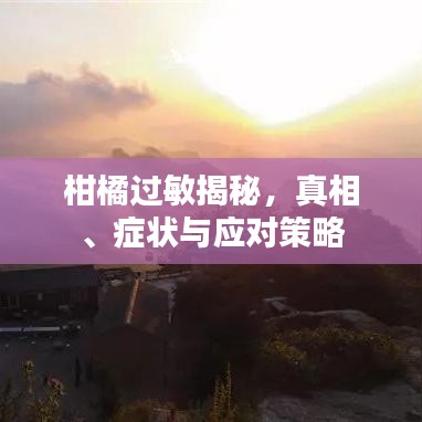 柑橘过敏揭秘，真相、症状与应对策略