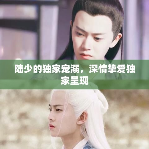 陆少的独家宠溺，深情挚爱独家呈现