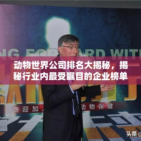 动物世界公司排名大揭秘，揭秘行业内最受瞩目的企业榜单！