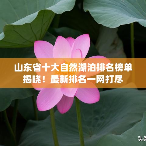 山东省十大自然湖泊排名榜单揭晓！最新排名一网打尽