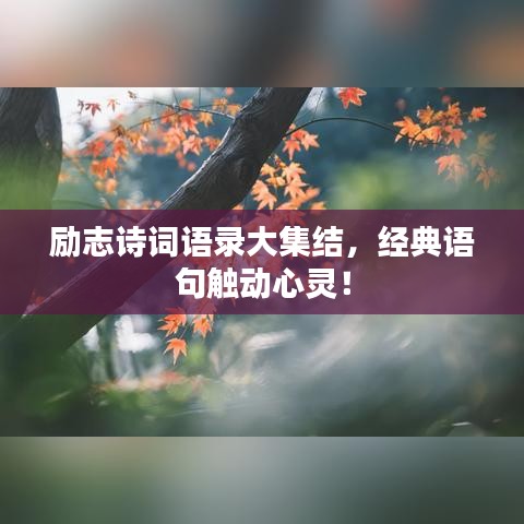 励志诗词语录大集结，经典语句触动心灵！