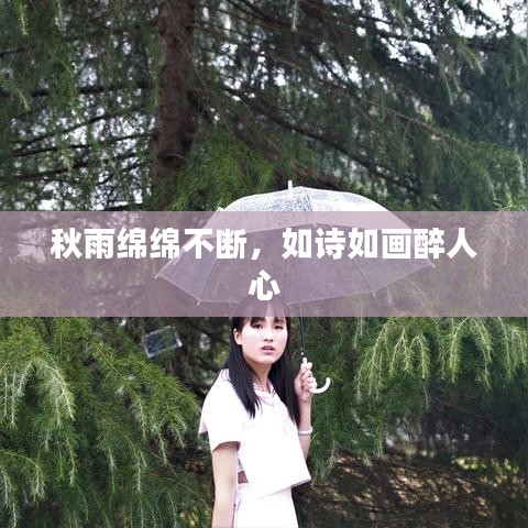 秋雨绵绵不断，如诗如画醉人心