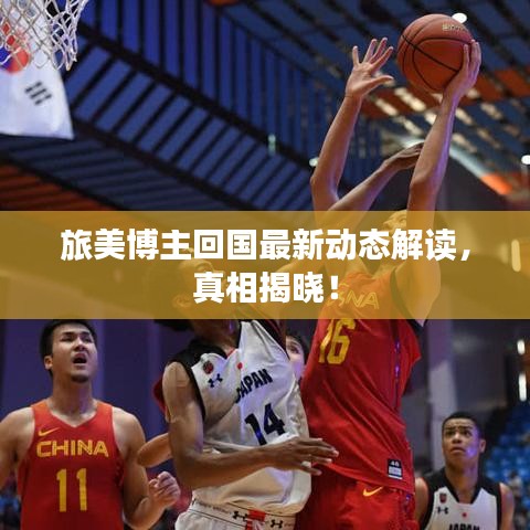旅美博主回国最新动态解读，真相揭晓！