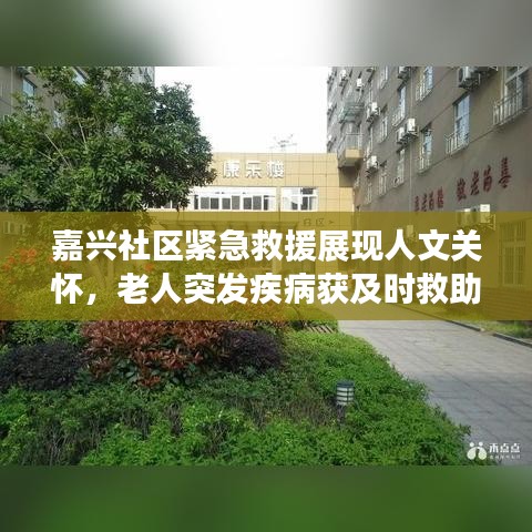 嘉兴社区紧急救援展现人文关怀，老人突发疾病获及时救助