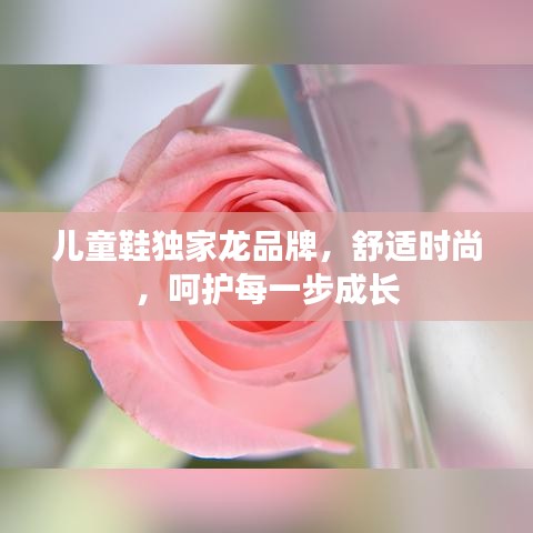 儿童鞋独家龙品牌，舒适时尚，呵护每一步成长