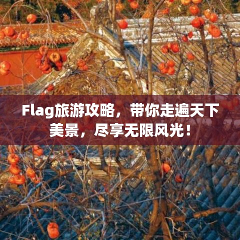 Flag旅游攻略，带你走遍天下美景，尽享无限风光！
