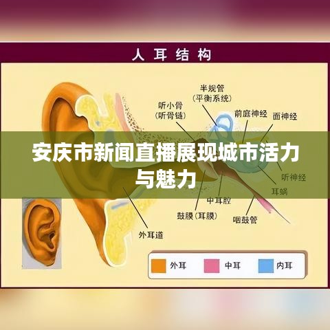 安庆市新闻直播展现城市活力与魅力