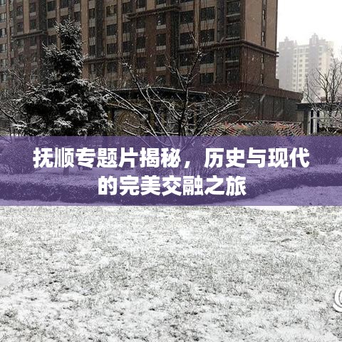 尽善尽美