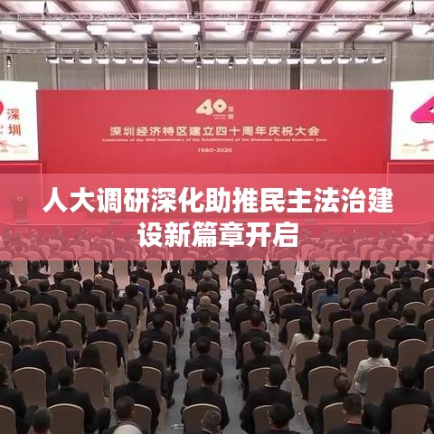 人大调研深化助推民主法治建设新篇章开启
