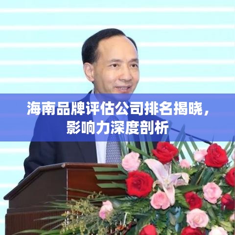 海南品牌评估公司排名揭晓，影响力深度剖析