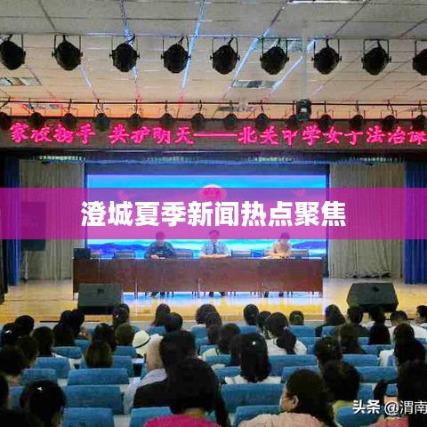澄城夏季新闻热点聚焦