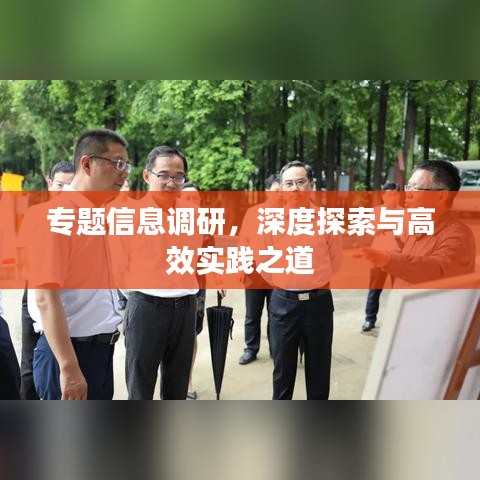 专题信息调研，深度探索与高效实践之道