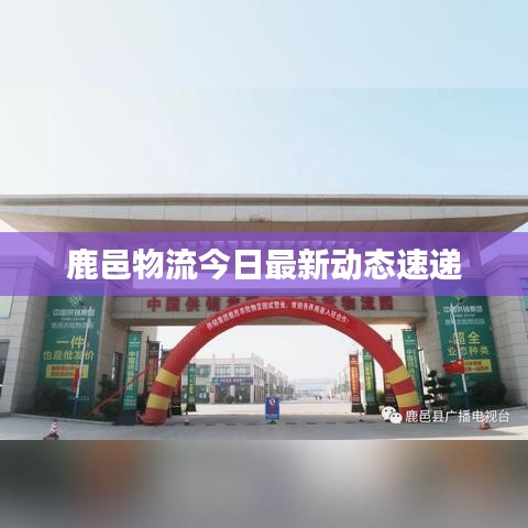 鹿邑物流今日最新动态速递