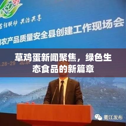 草鸡蛋新闻聚焦，绿色生态食品的新篇章