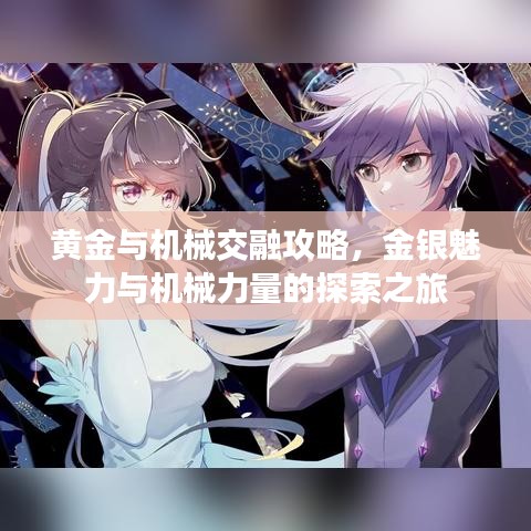 黄金与机械交融攻略，金银魅力与机械力量的探索之旅