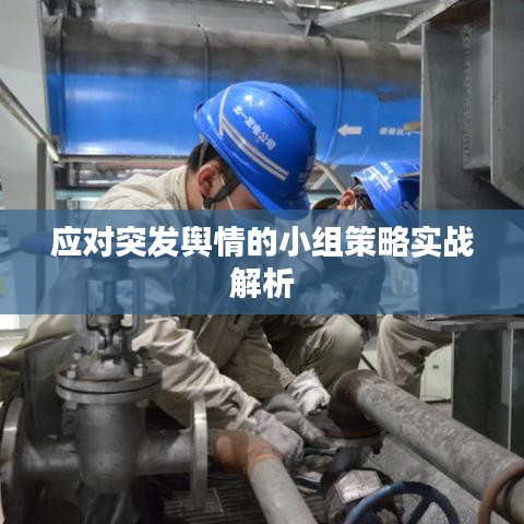 应对突发舆情的小组策略实战解析