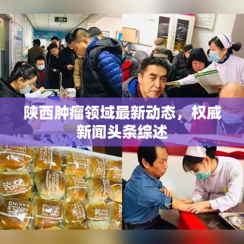 陕西肿瘤领域最新动态，权威新闻头条综述