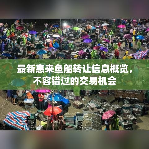 最新惠来鱼船转让信息概览，不容错过的交易机会