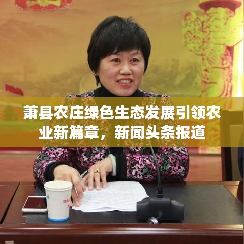 萧县农庄绿色生态发展引领农业新篇章，新闻头条报道