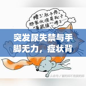 突发尿失禁与手脚无力，症状背后的健康危机警示！