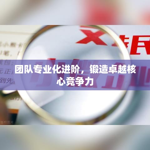 团队专业化进阶，锻造卓越核心竞争力