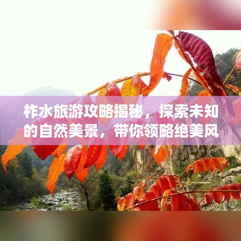柞水旅游攻略揭秘，探索未知的自然美景，带你领略绝美风光！