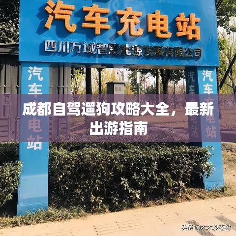 成都自驾遛狗攻略大全，最新出游指南