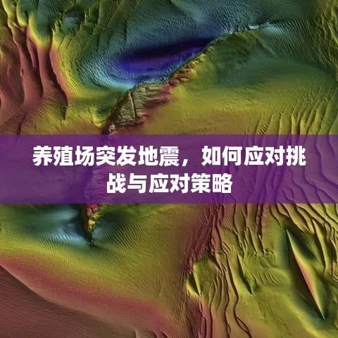 养殖场突发地震，如何应对挑战与应对策略