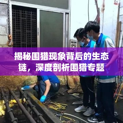 揭秘围猎现象背后的生态链，深度剖析围猎专题