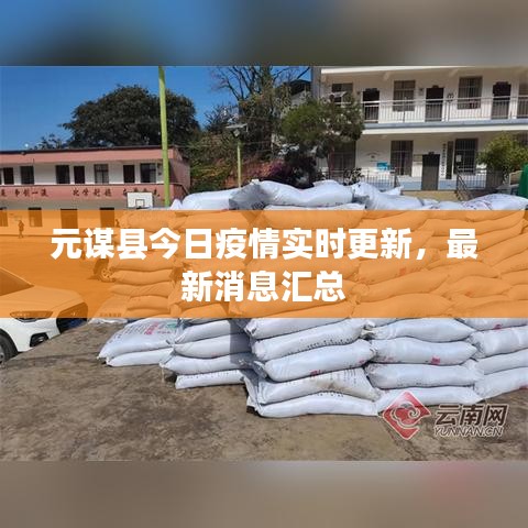元谋县今日疫情实时更新，最新消息汇总