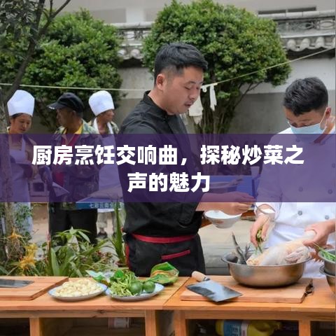 厨房烹饪交响曲，探秘炒菜之声的魅力