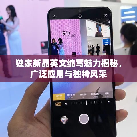 独家新品英文缩写魅力揭秘，广泛应用与独特风采